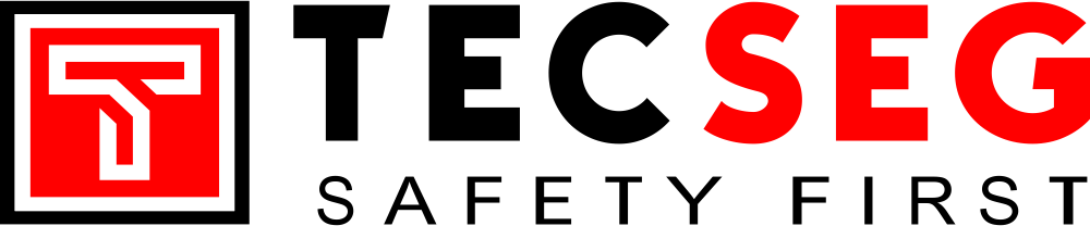 Logo TECSEG